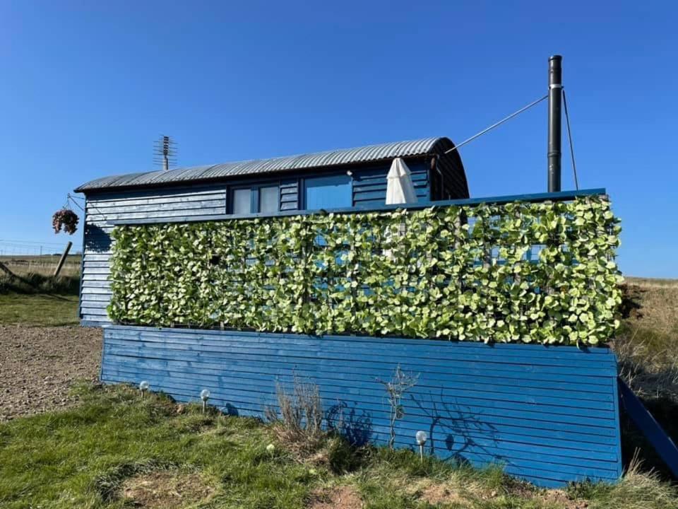 Croft B&B Accommodation With Hot Tub Gamrie 외부 사진